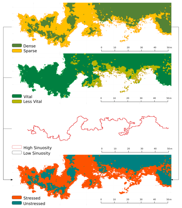 vegetation status